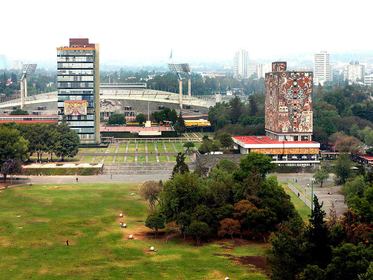 Organización UNAM